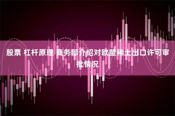 股票 杠杆原理 商务部介绍对欧盟稀土出口许可审批情况