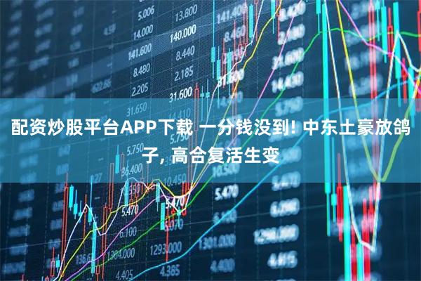 配资炒股平台APP下载 一分钱没到! 中东土豪放鸽子, 高合复活生变