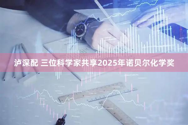 泸深配 三位科学家共享2025年诺贝尔化学奖
