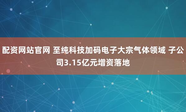配资网站官网 至纯科技加码电子大宗气体领域 子公司3.15亿元增资落地