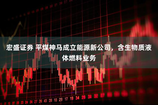 宏盛证券 平煤神马成立能源新公司，含生物质液体燃料业务