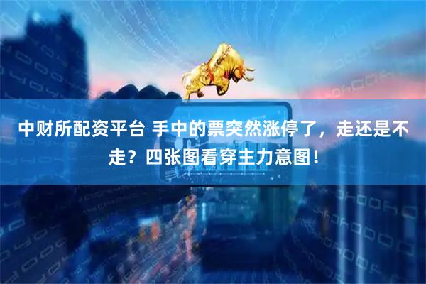 中财所配资平台 手中的票突然涨停了，走还是不走？四张图看穿主力意图！