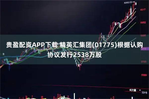 贵盈配资APP下载 精英汇集团(01775)根据认购协议发行2538万股